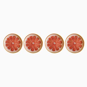 Fruit Collection Pink Grapefruit Plates by Federica Massimi, Set of 4