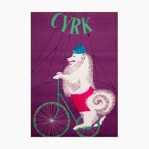 Polnisches Samoyed Dog Cycling Circus Poster von Gustaw Majewski, 1965