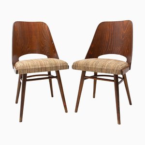 Mid-Century Dining Chairs by Radomír Hofman for TON, Czechoslovakia, 1960s, Set of 2