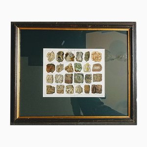 Minerals and Rocks. Encyclopedic Graphics, Germany, Chromolithograph
