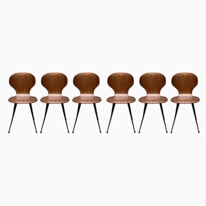Chairs by Carlo Ratti, Set of 6
