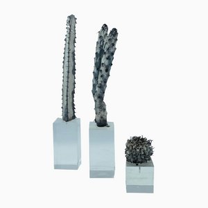 Silberne Kaktus-Skulpturen auf Acrylglas-Basis, Italien, 1970er, 3er Set