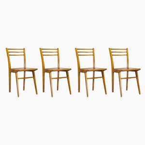 French Birch Dining Chairs, 1950s, Set of 4