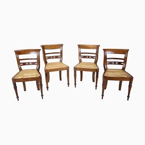 Solid Wood Dining Chairs, Czechoslovakia, 1950s, Set of 4