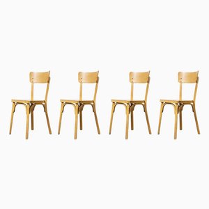 French Blonde Beech Bentwood Dining Chairs from Baumann, 1950s, Set of 4
