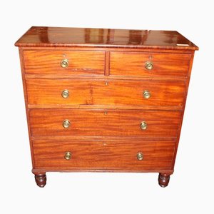 Small Mahogany Chest Drawers with Brass Knobs, 1900s
