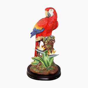 Porcelain Parrot