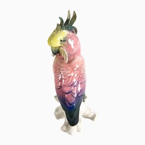 Pinker Papagei von Karl Ens