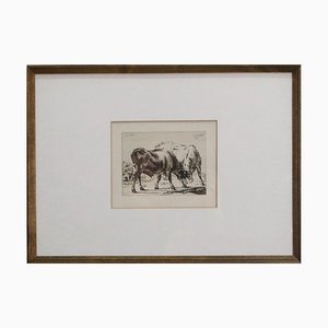 Bulls, Engraving, Framed