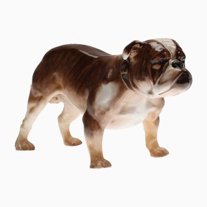 Bulldogge von Royal Doulton