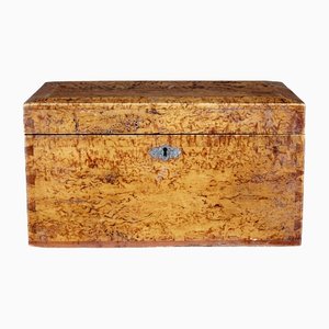 19th Century Burr Birch Sugar Box