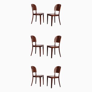 Dining Chairs from Thonet, 1930s, Set of 6