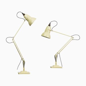 Cream Anglepoise 1227 Lamp by Herbert Terry & Sons, Set of 2