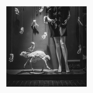 Morgan Silk, fenêtre de Williamsburg, Brooklyn, NY, photographie noir et blanc