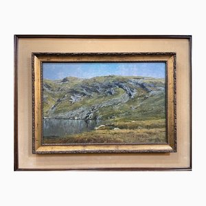 Vismara, Lake Landscape, 20th Century, Oil Painting on Board, Framed