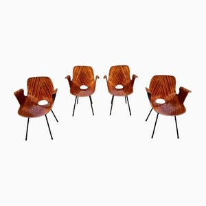 Stühle aus hellem Holz mit Armlehnen von Vittorio Nobili für Medea, 1950er, 4er Set