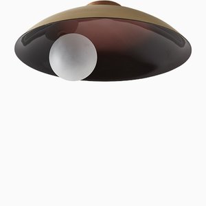 Oyster Ceiling Mounted Lamp by Carla Baz