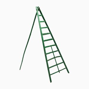Rustic Green Ladder Sculpture, 1890s