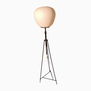 Brass Iron and Opal Glass Floor Lamp Tripod from Stilnovo, 1950s
