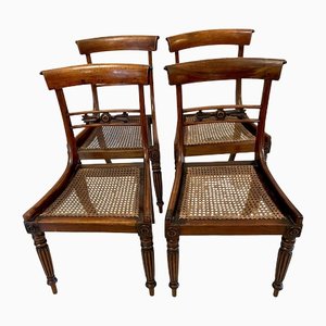 Antique Regency Rosewood Dining Chairs, Set of 4