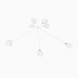 White Seven Fixed Arms Spider Wall Ceiling Lamp by Serge Mouille for Indoor