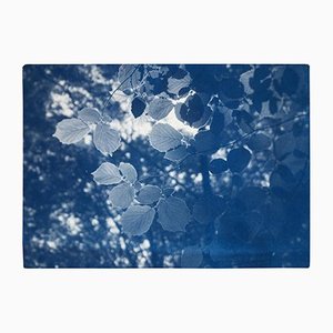 Kind of Cyan, Sunbeam on Forest Leaves, 2021, Cyanotype Druck auf Papier