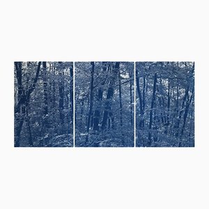 Kind of Cyan, Walking in the Woods, 2021, Cyanotype Print