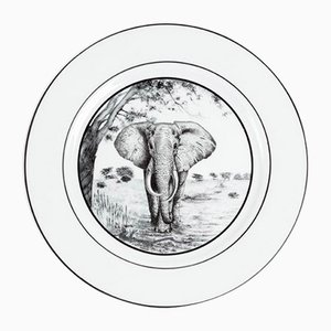 Africa Nera Plates from Stella Fatucchi Art Porcelain, Set of 4