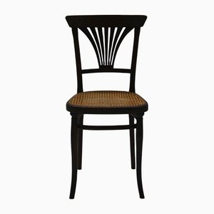 Nr. 221 Dining Chairs from Thonet, 1910, Set of 4
