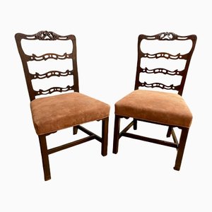 Antike georgische Mahagoni Stühle
