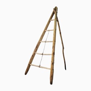 Fir & Beech Wood Ladder