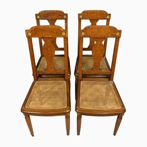 Stamped Chairs in Burr Wood from Krieger, 1900s, Set of 4