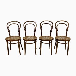 Mid-Century Bentwood & Cane Dining Chairs by Michael Thonet for ZPM Radomsko, 1960s, Set of 4