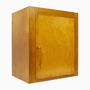 Vintage Ply Cabinet by B Linden, 1960s