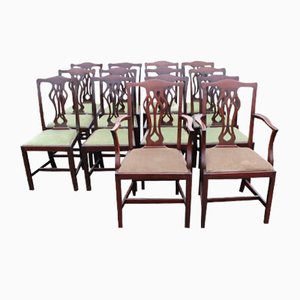 Mahogany Chippendale Style Dining Chairs, 1920s, Set of 14