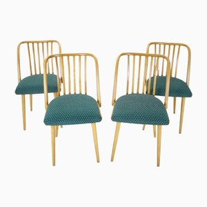 Chaises de Salle à Manger Tchécoslovaques par Antonin Suman, 1960s, Set de 4