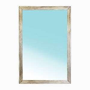 Silvered Mirror