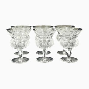 Thistle Pattern Champagne Saucer Glasses from Edinburgh Crystal, Set of 6