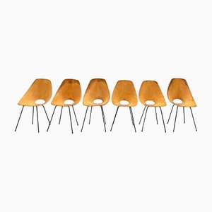 Italian Medea Chairs by Vittorio Nobili for Fratelli Tagliabue, 1960s, Set of Six