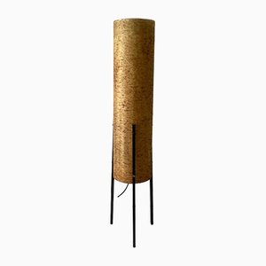German Cylinder Design Fiberglass & Black Metal Tripod Floor Lamp, 1960s