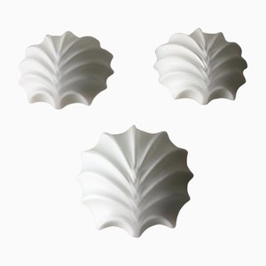 German Shell Design Opaline Glass Sconces, 1960s, Set of 3