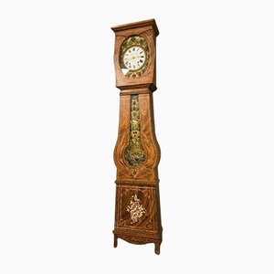 Napoleon III Period Fleurie Comtoise Clock, 1800s