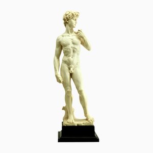 Roman Statue of the David by G Ruggeri