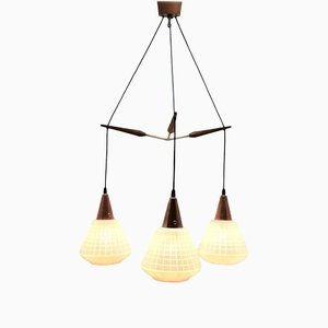 Mid-Century Belgian Teak with Frosted Optical Shade Tree Pendant Lights