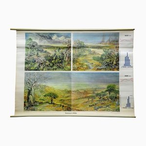 Vintage Cottage Core Africa Savanna Landscape Weather Seasons Rollable Wall Chart
