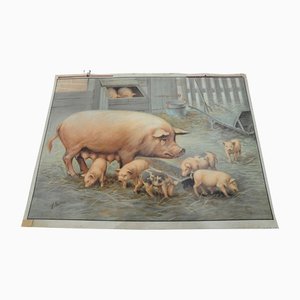 Vintage Retro Pig Piglets Farm Animals Wall Chart Painting