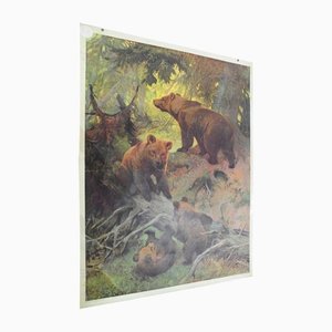 Affiche Murale Vintage Family of Brown Bears