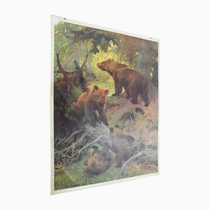 Vintage Family of Brown Bears Printed Wall Chart