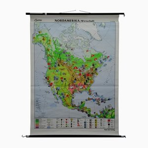 Grafico a muro vintage delle finanze dell'economia del Nord America