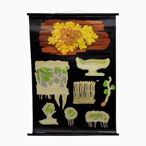 Yellow Lichen Botany Plants Wall Chart by Jung Koch Quentell